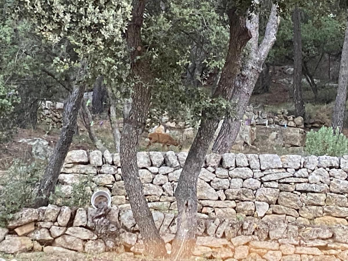 Apartmán La Studette Provencale Jouques Exteriér fotografie